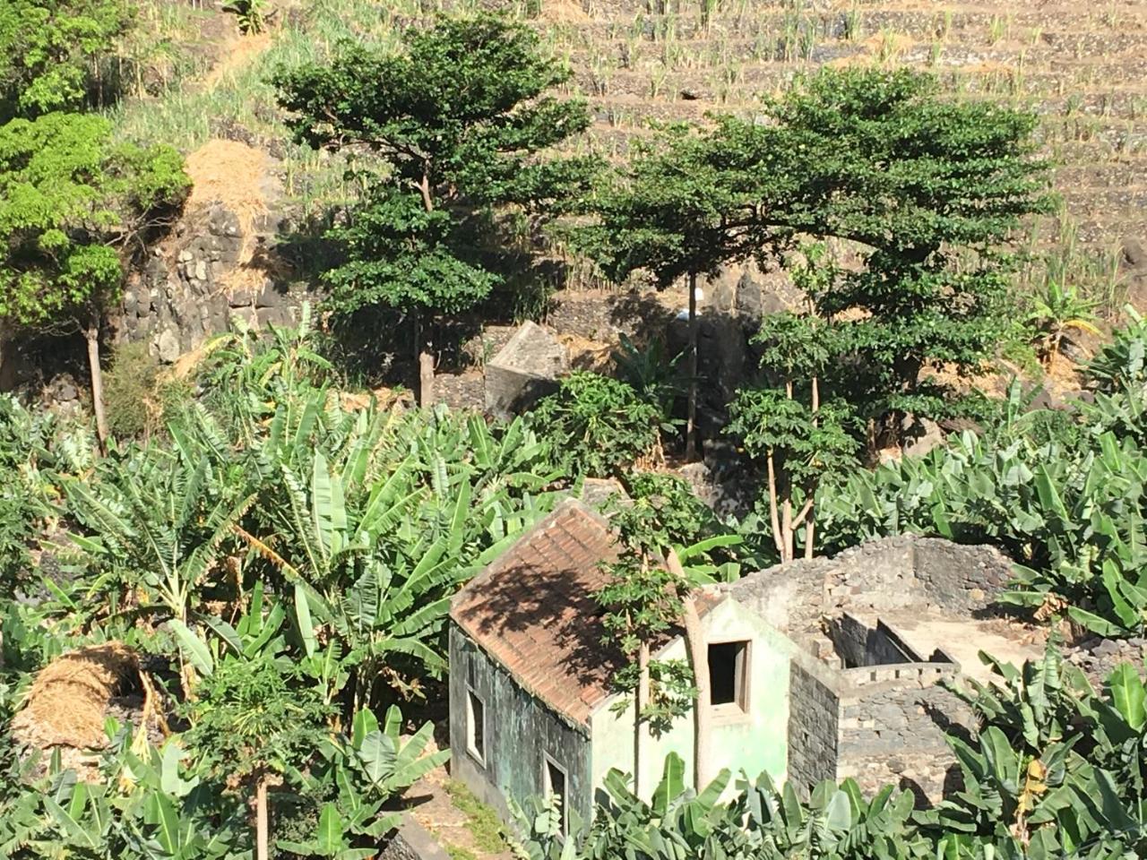 Guest House Frontera Pinto Exterior photo